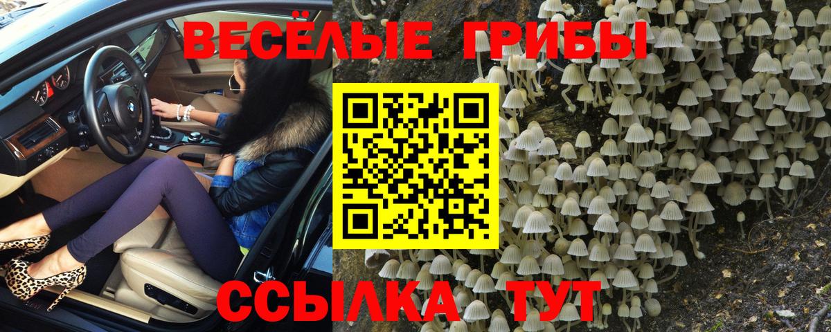 Галлюциногенные грибы Psilocybine cubensis Владикавказ