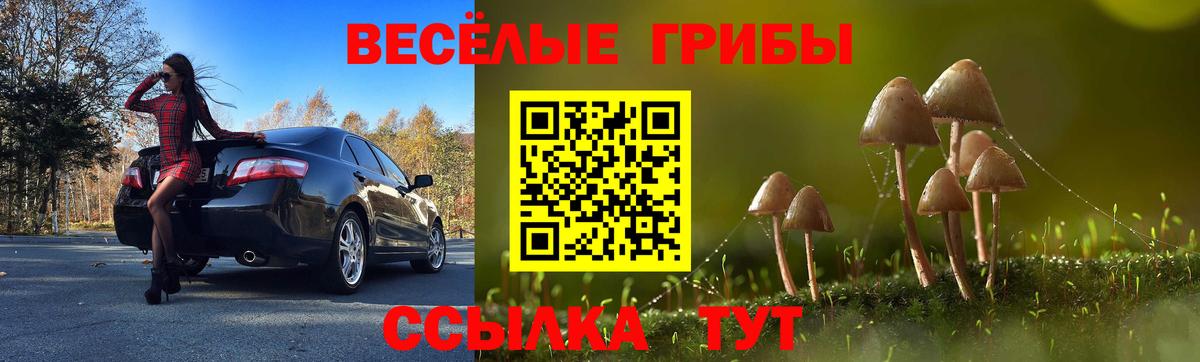 Псилоцибиновые грибы GOLDEN TEACHER  Псилоцибиновые грибы прущие грибы  Владикавказ  Вход с VPN 